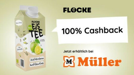 Flocke BIO-Eistee 100 %