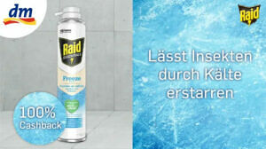 Raid Essentials Freeze Spray 100 %