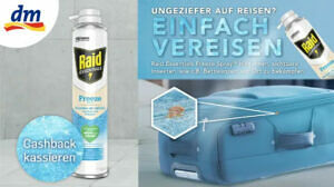 Raid Essentials Freeze Spray 25 %